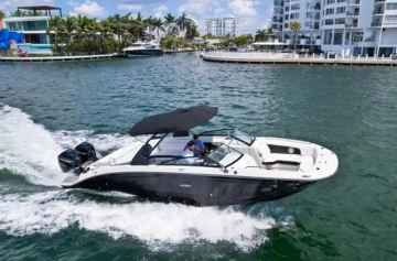 Sea Ray SDX 290 usata in vendita