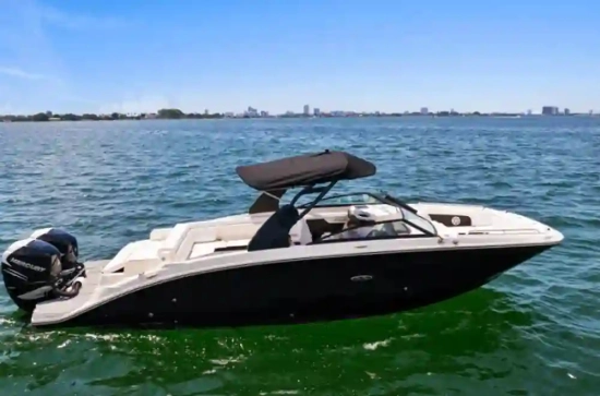 Sea Ray SDX 290 usata in vendita