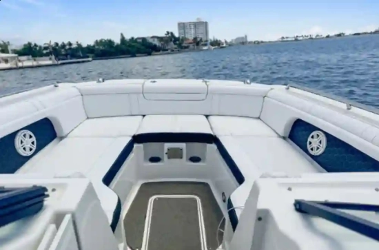 Sea Ray SDX 290 usata in vendita