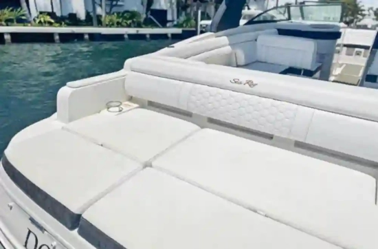 Sea Ray SDX 290 usata in vendita