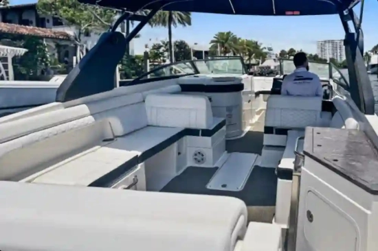 Sea Ray SDX 290 usata in vendita