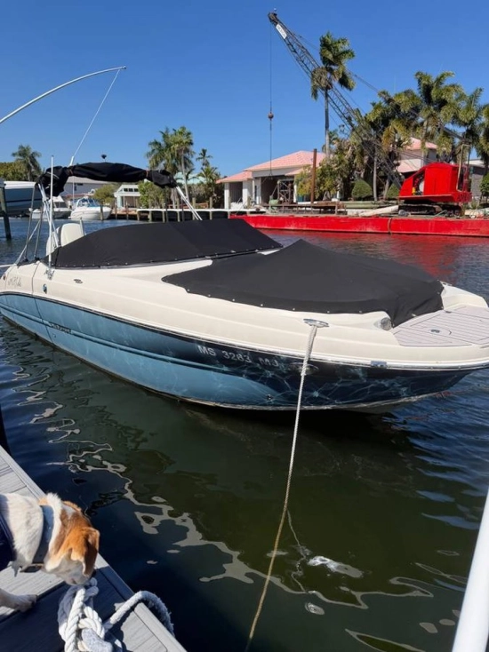 Stingray 231DC nuevo en venta