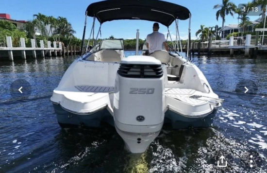 Stingray 231DC nuevo en venta