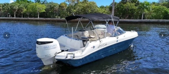 Stingray 231DC nuevo en venta