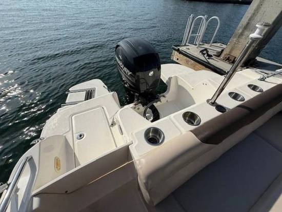 Bayliner 210 usado à venda