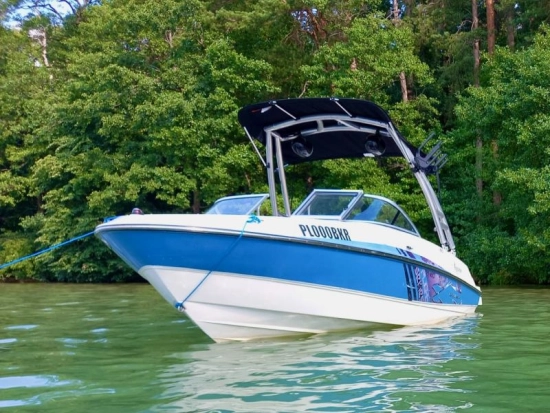 Bayliner 185 novos à venda