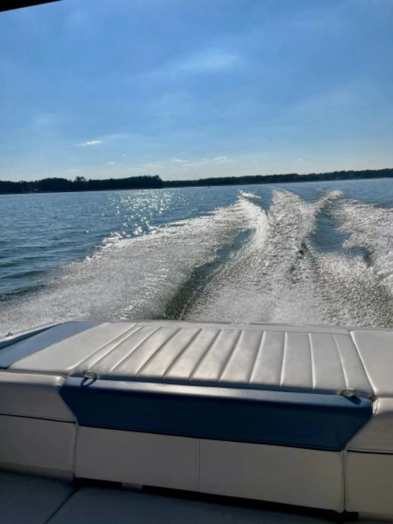 Bayliner 185 novos à venda