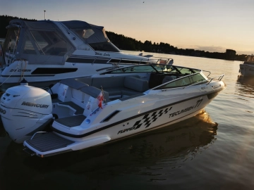 Flipper 800 DC usata in vendita