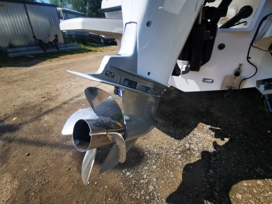Flipper 800 DC usata in vendita
