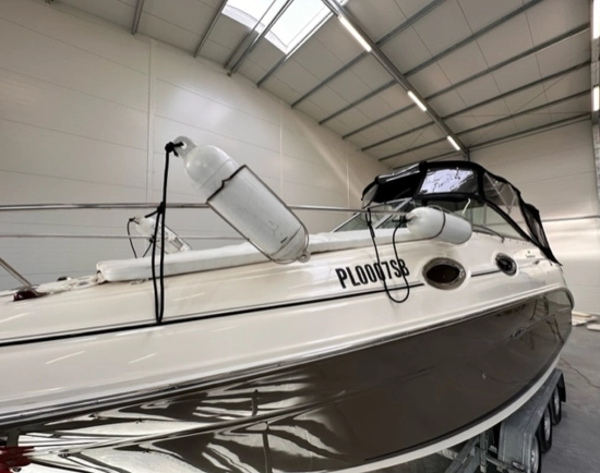 Sea Ray Sundancer 255 usata in vendita