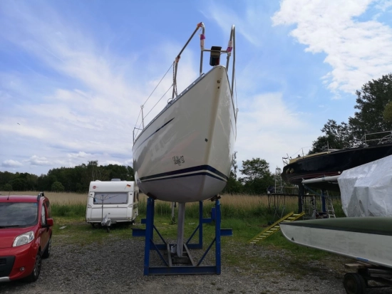 Luffe 37 MkII nuevo en venta