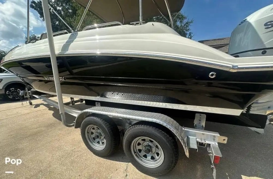 Stingray 192 SC novos à venda
