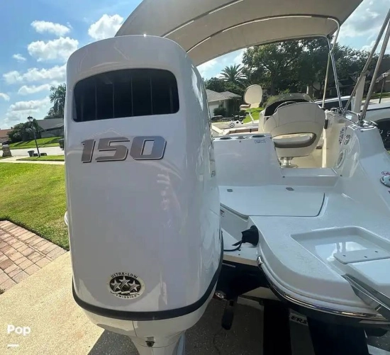 Stingray 192 SC novos à venda