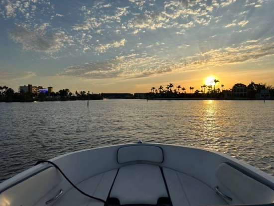 Bayliner VR6 novos à venda