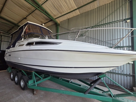 Rinker Fiesta Vee 260 novos à venda