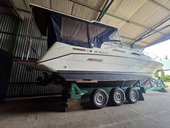 Rinker Fiesta Vee 260 novos à venda