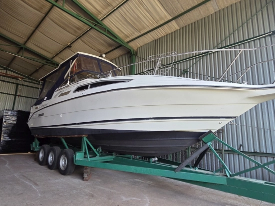Rinker Fiesta Vee 260 novos à venda