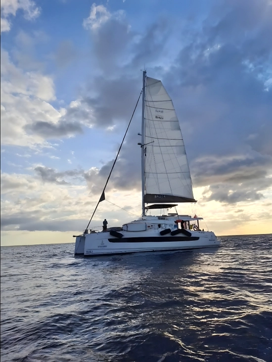 Chantier Catana Bali 5.4 usado à venda