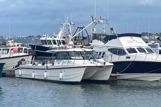 Cheetah Marine 11.2 m Series usata in vendita