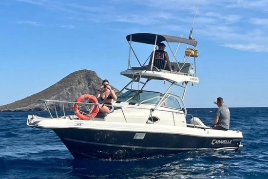 Caravelle Sea Hawk 230 Walk Around usata in vendita
