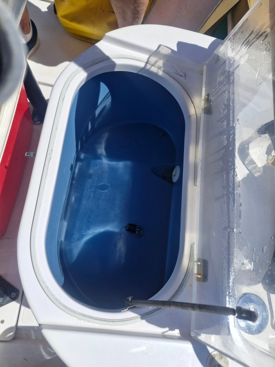SG BOAT SRLS SG BOATS AQUABAT AQUAFISH 550 usata in vendita
