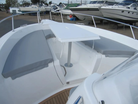 White Shark 246 CC de segunda mano en venta