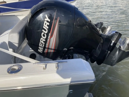 White Shark 246 CC de segunda mano en venta