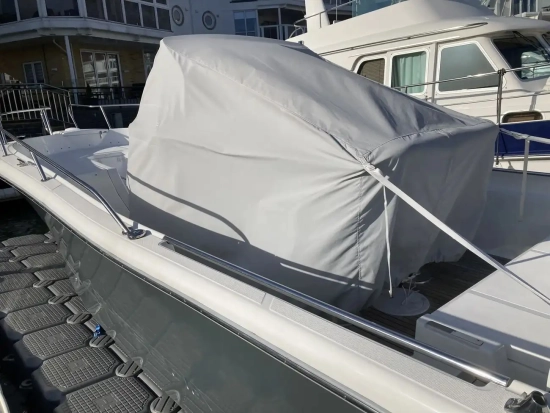 White Shark 246 CC de segunda mano en venta