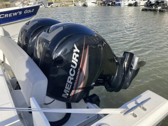 White Shark 246 CC de segunda mano en venta