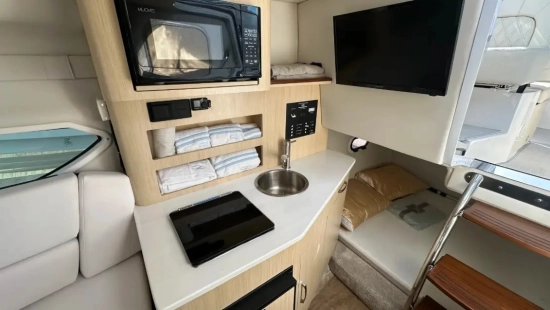 Regal 26 Express Cruiser nuova in vendita