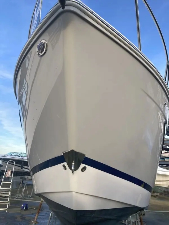 Regal 26 Express Cruiser nuova in vendita