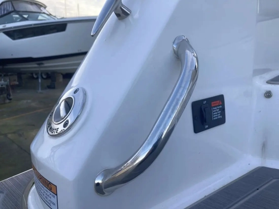 Regal 26 Express Cruiser nuova in vendita