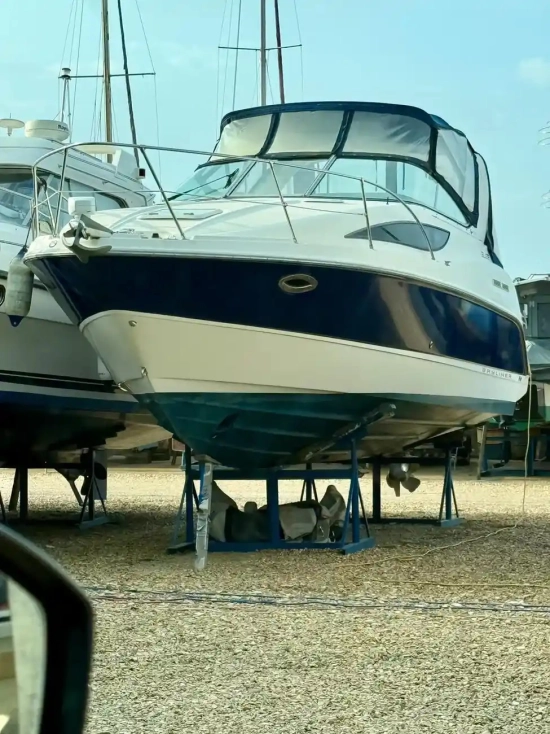 Bayliner 285 Cruiser usado à venda