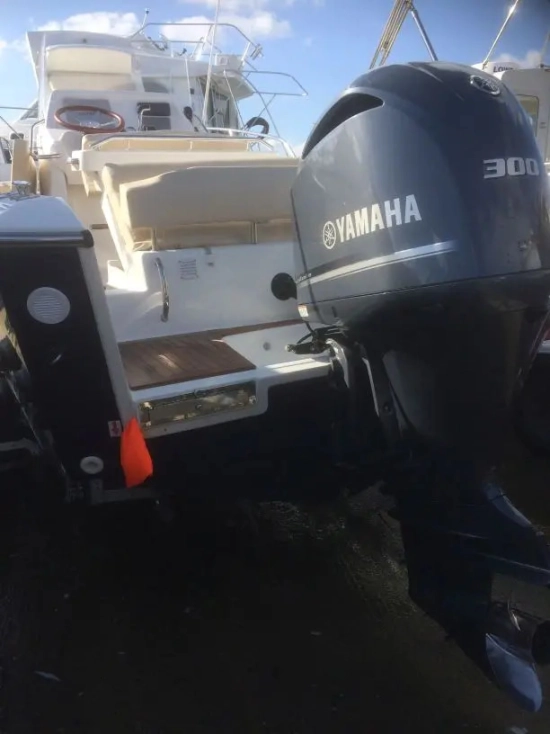 White Shark 246 CC de segunda mano en venta