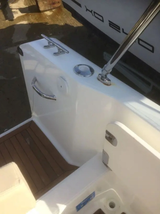 White Shark 246 CC de segunda mano en venta