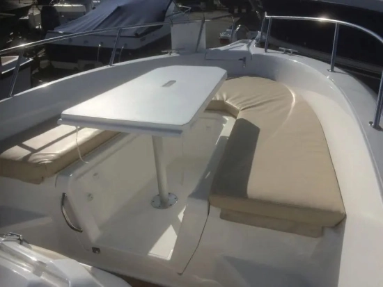 White Shark 246 CC de segunda mano en venta
