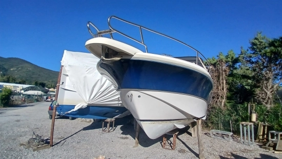 Scarani 29 DAY CRUISER usata in vendita
