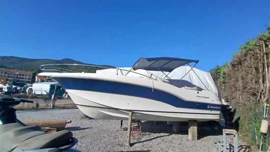 Scarani 29 DAY CRUISER usata in vendita