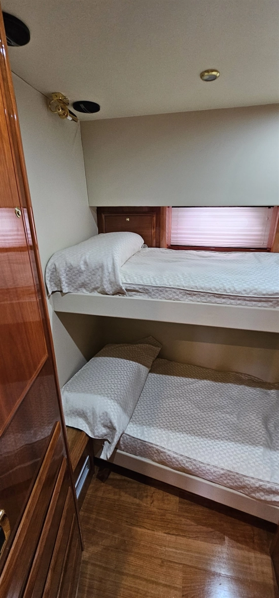 Dellapasqua DC 18 2009 Fly usado à venda