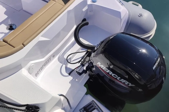 Italboats Predator 650 usata in vendita