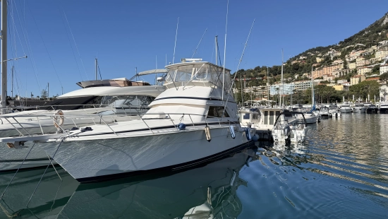 Bertram 46 de segunda mano en venta