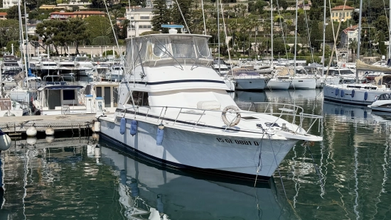 Bertram 46 de segunda mano en venta