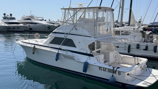 Bertram 46 de segunda mano en venta