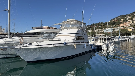 Bertram 46 de segunda mano en venta