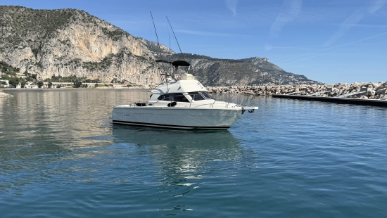 Ars Mare RS29 usata in vendita