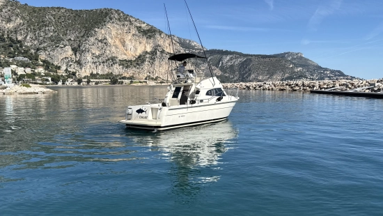 Ars Mare RS29 usata in vendita