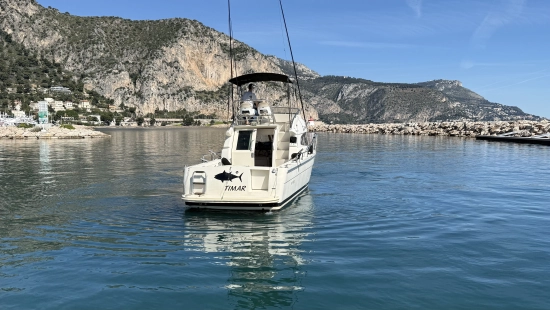 Ars Mare RS29 usata in vendita