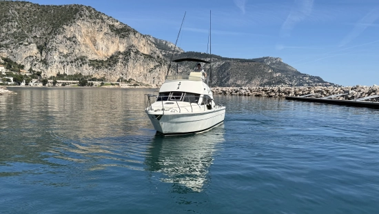 Ars Mare RS29 usata in vendita
