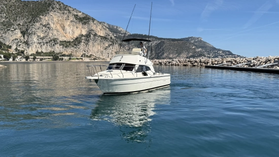 Ars Mare RS29 usata in vendita