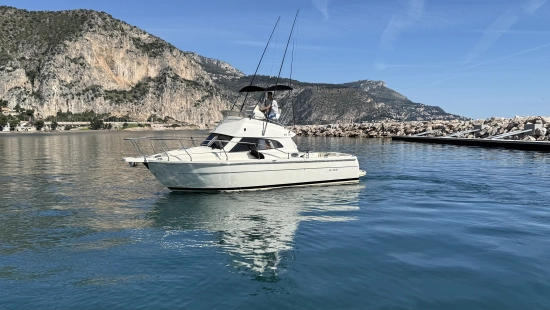 Ars Mare RS29 usata in vendita